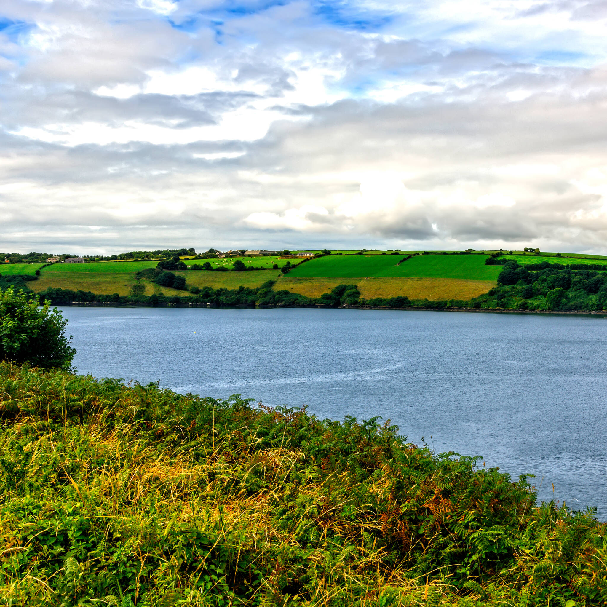 The River Bandon in Ireland, County Cork