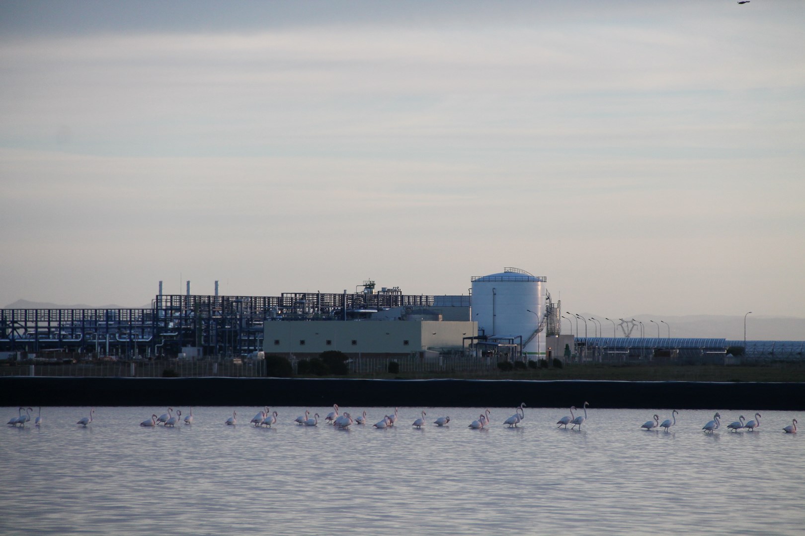 Image published on the website of Ciudad FCC (https://www.ciudadfcc.com/). Guzmán Solar Thermal Power Plant