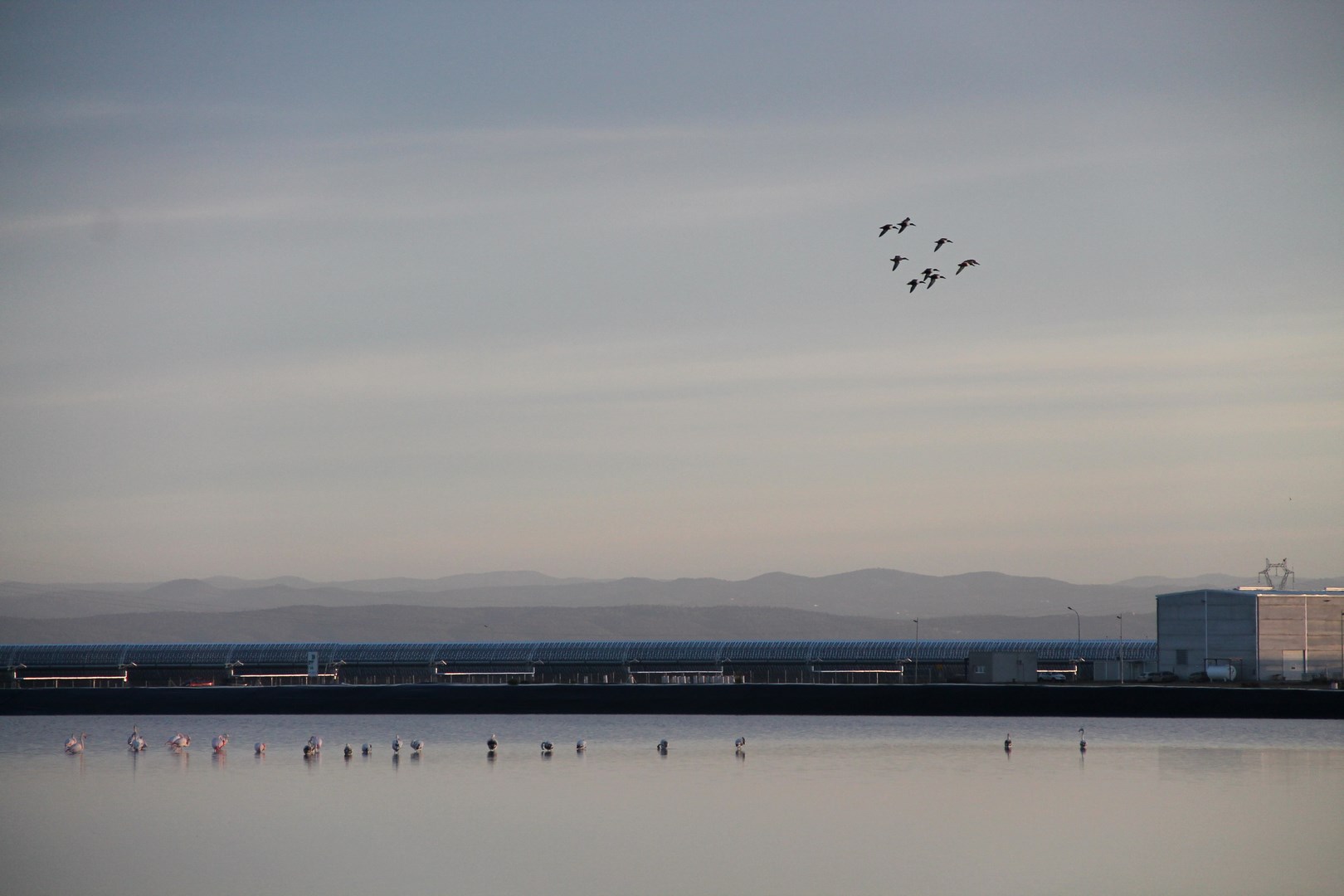 Image published on the website of Ciudad FCC (https://www.ciudadfcc.com/). Guzmán Solar Thermal Power Plant